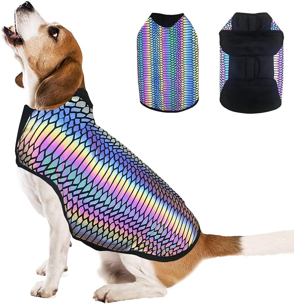 The Lumination Holographic Dog Vest